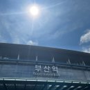 여보게친구 차나한잔먹음세 | 250517~18 삼성라이온즈 vs 롯데자이언츠 클래식씨리즈 직관후기(사직야구장)