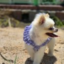 배내대리길 이미지