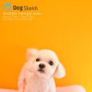 봉구애견미용샵 이미지