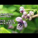 원더풀데이 이미지