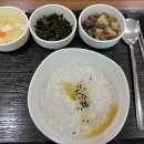 씨엠병원 | 오송 베스티안병원 건강검진 내시경 후기 / 검진 3일전 식단관리 씨엠쿨산 복용법