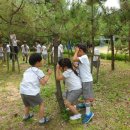 새예지유치원 이미지