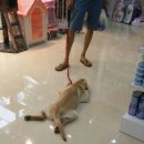 폴리파크 역삼점 이미지