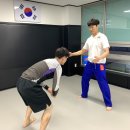 노기