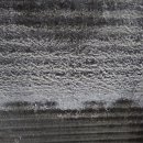 금암피순대 이미지