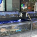 싱싱회관 이미지