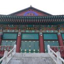 대불금강 이미지