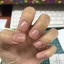 네일바효 이미지