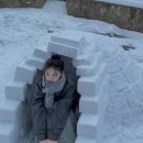 이글루 이미지