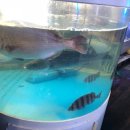 시민로457번길 이미지