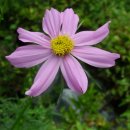 카톨릭병원 이미지