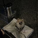 유명산둥지 이미지