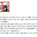 열두달이야기 이미지