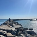 (주)다나온 이미지