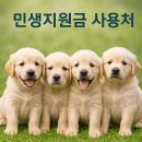 시화동물약국 | 민생회복지원금, 제대로 알고 제대로 쓰자! 안산애견분양도 사용가능