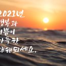 자찾사 이미지