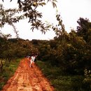 계남초등학교 이미지