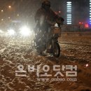 동북민박 이미지