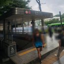 보라횟집 | [역삼동 맛집] 월참치 청코스 후 가성비와 퀄리티 다 잡은 강남역 횟집 후기