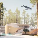 솔로몬 도서관 이미지