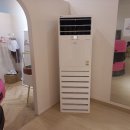 루다폴댄스 이미지