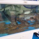 몽돌티파니횟집 이미지