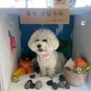 무프스 유치원 이미지