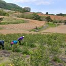 그리심농장 이미지