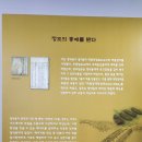 월송5일시장 | [전라도 강진 여행지 추천] 강진 가볼만한곳 강진 다산초당, 다산박물관 [전남 당일여행코스 추천]