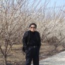 남풍 - 사천시 사주길 36 | 남풍