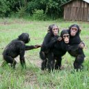 훈진커피 | 여자들아 기죽지마라 당당하게 줘패라