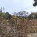 산돌사랑의 집 이미지