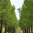 안성맞춤랜드 이미지