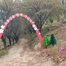 서구-22 이미지