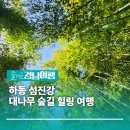 3/15~16 광양매화마을, 구례산수유축제,화개장터,최참판댁,부부송,화엄사,쌍산재 이미지