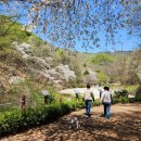 꼬로롱멍 이미지