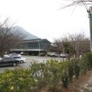 하늘천따지 | 대구 동구 하늘천따지본점 솔직 후기! 참숯 향 가득한 신선한 생오리구이와 푸른 소나무 정원에 감동...