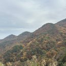 E-2 | 캠핑⛺️ 충주 재오개 캠핑장 E존 명당 2박 후기