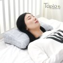 타피오 이미지