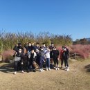 블로썸 핏 이미지