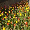 대저파출소 이미지