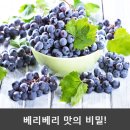 베리베리(very berry) 네이버블로그