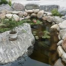 귀일민들레집 이미지