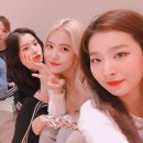 개이쁘다 이미지