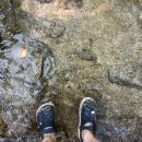 숲스토리야영장 이미지