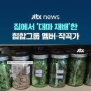 집 안에서 대마 재배한 힙합그룹 멤버 A씨 이미지