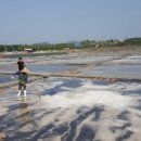 갯골생태공원(해수체험장) 이미지