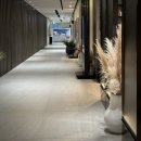 데메테르H 이미지