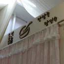 홍설화