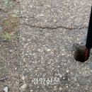 에아가이아 이미지